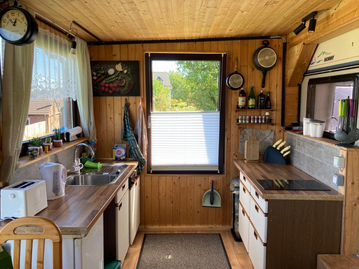 Tiny House Anneliese Hunde Okay Villa Oberbettingen Eksteriør bilde